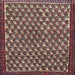 Square Traditional Pink Persian Rug, tr304