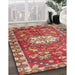 Traditional Tangerine Pink Animal Rug in Family Room, tr3052