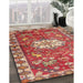 Machine Washable Traditional Tangerine Pink Rug in a Family Room, wshtr3052