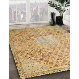 Traditional Cinnamon Brown Persian Rug in Family Room, tr3054