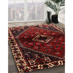 Traditional Reddish Brown Persian Rug in Family Room, tr3060