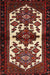 Machine Washable Traditional Dark Almond Brown Rug, wshtr3075