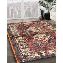 Traditional Brown Red Persian Rug in Family Room, tr3095