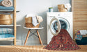 Machine Washable Traditional Sienna Brown Rug in a Washing Machine, wshtr309