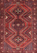 Machine Washable Traditional Chestnut Brown Rug, wshtr310