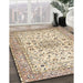 Machine Washable Traditional Dark Almond Brown Rug in a Family Room, wshtr3110