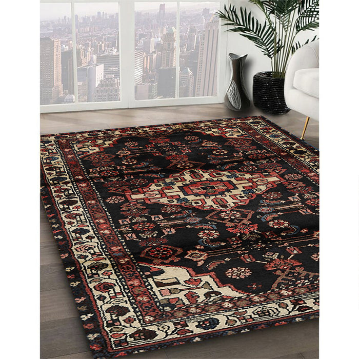 Traditional Brown Persian Rug in Family Room, tr3114