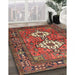 Traditional Rust Pink Persian Rug in Family Room, tr313