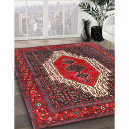 Traditional Red Persian Rug in Family Room, tr314
