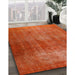 Traditional Orange Red Persian Rug in Family Room, tr3150