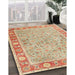 Machine Washable Traditional Brown Rug in a Family Room, wshtr3153