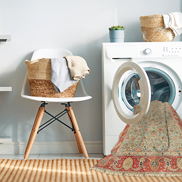 Machine Washable Traditional Brown Rug in a Washing Machine, wshtr3153