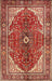 Traditional Tangerine Pink Medallion Rug, tr3154