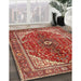 Traditional Tangerine Pink Medallion Rug in Family Room, tr3154