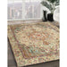 Machine Washable Traditional Brown Rug in a Family Room, wshtr3175