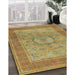 Traditional Copper Green Medallion Rug in Family Room, tr3178