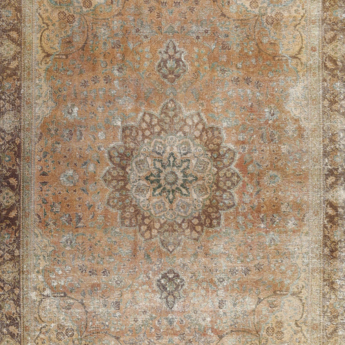 Machine Washable Traditional Brown Sugar Brown Rug, wshtr3192