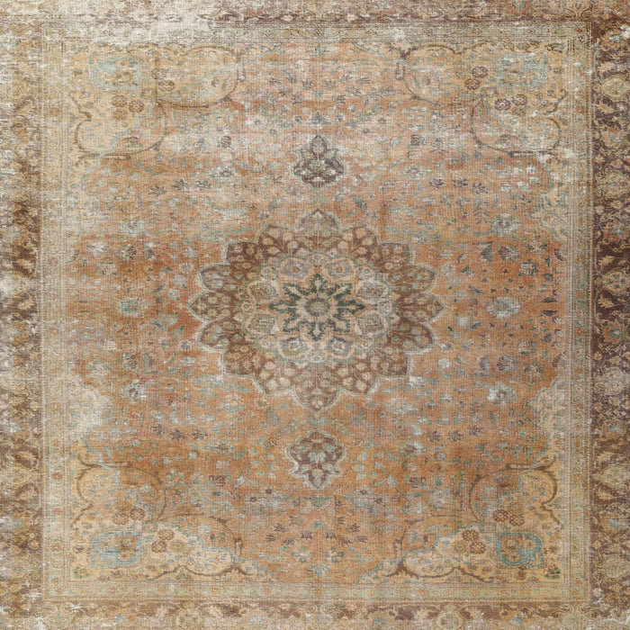 Square Traditional Brown Persian Rug, tr3192
