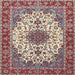 Square Traditional Tan Brown Persian Rug, tr3197