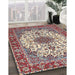 Traditional Tan Brown Persian Rug in Family Room, tr3197