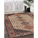 Traditional Red Brown Persian Rug in Family Room, tr3211