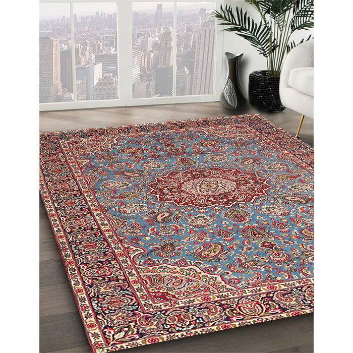 Traditional Brown Red Medallion Rug in Family Room, tr3221