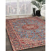 Traditional Brown Red Medallion Rug in Family Room, tr3221