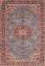 Traditional Brown Red Medallion Rug, tr3221