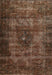 Traditional Sienna Brown Persian Rug, tr3223