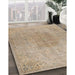 Traditional Dark Almond Brown Persian Rug in Family Room, tr3226