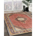 Traditional Brown Red Medallion Rug in Family Room, tr322