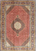 Machine Washable Traditional Brown Red Rug, wshtr322