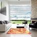 Square Traditional Orange Red Animal Rug in a Living Room, tr3230