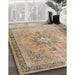 Traditional Dark Gold Brown Persian Rug in Family Room, tr3232