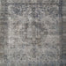 Square Traditional Dark Gray Persian Rug, tr3236