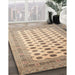 Machine Washable Traditional Dark Gold Brown Rug in a Family Room, wshtr323