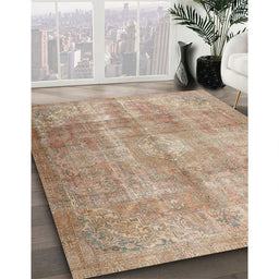 Traditional Orange Brown Persian Rug in Family Room, tr3245