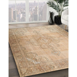 Traditional Brown Persian Rug in Family Room, tr3246