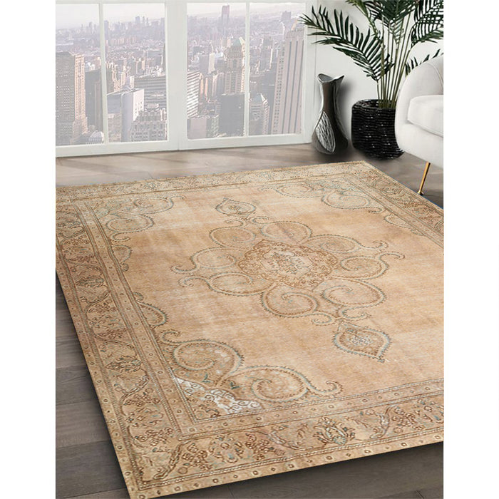Traditional Brown Persian Rug in Family Room, tr3246