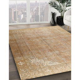 Traditional Bronze Brown Persian Rug in Family Room, tr3253