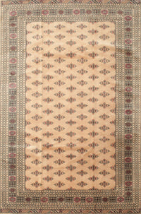 Machine Washable Traditional Gold Brown Rug, wshtr325