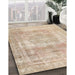 Machine Washable Traditional Brown Rug in a Family Room, wshtr3263