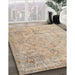 Machine Washable Traditional Brown Rug in a Family Room, wshtr3267