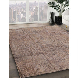 Traditional Camel Brown Persian Rug in Family Room, tr3268
