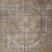 Square Traditional Brown Persian Rug, tr3269