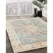 Machine Washable Traditional Light French Beige Brown Rug in a Family Room, wshtr326