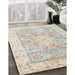 Traditional Light French Beige Brown Oriental Rug in Family Room, tr326