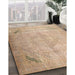 Machine Washable Traditional Peru Brown Rug in a Family Room, wshtr3275