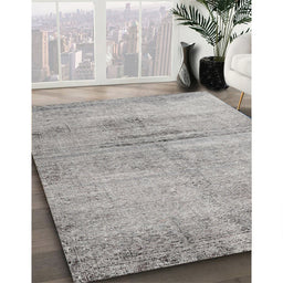 Traditional Granite Gray Persian Rug in Family Room, tr3279