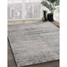 Machine Washable Traditional Granite Gray Rug in a Family Room, wshtr3279